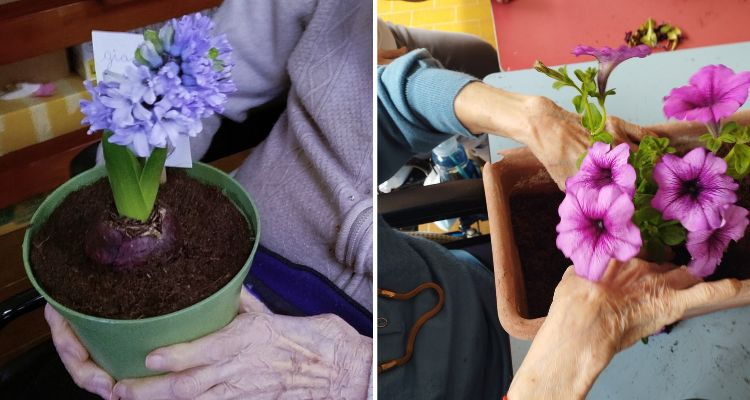 orticoltura terapeutica