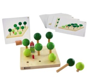 mi oriento nella foresta