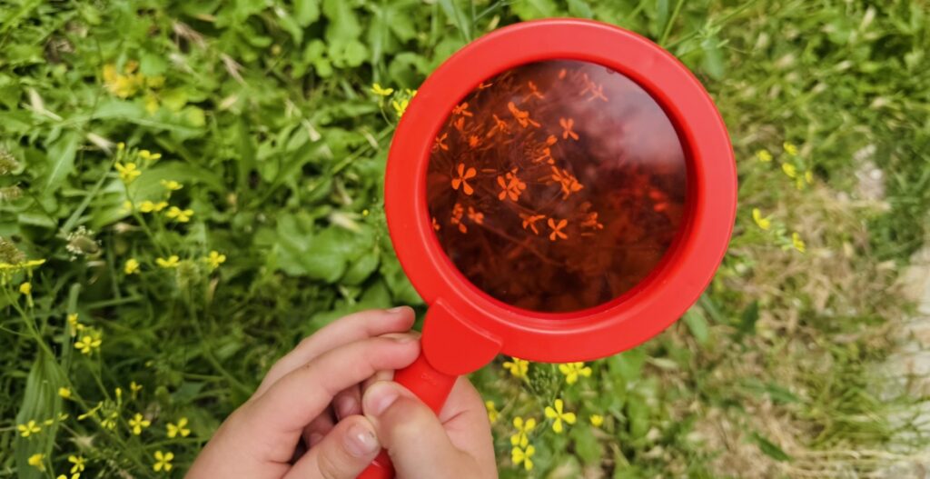 laboratorio di scienze attività con lenti