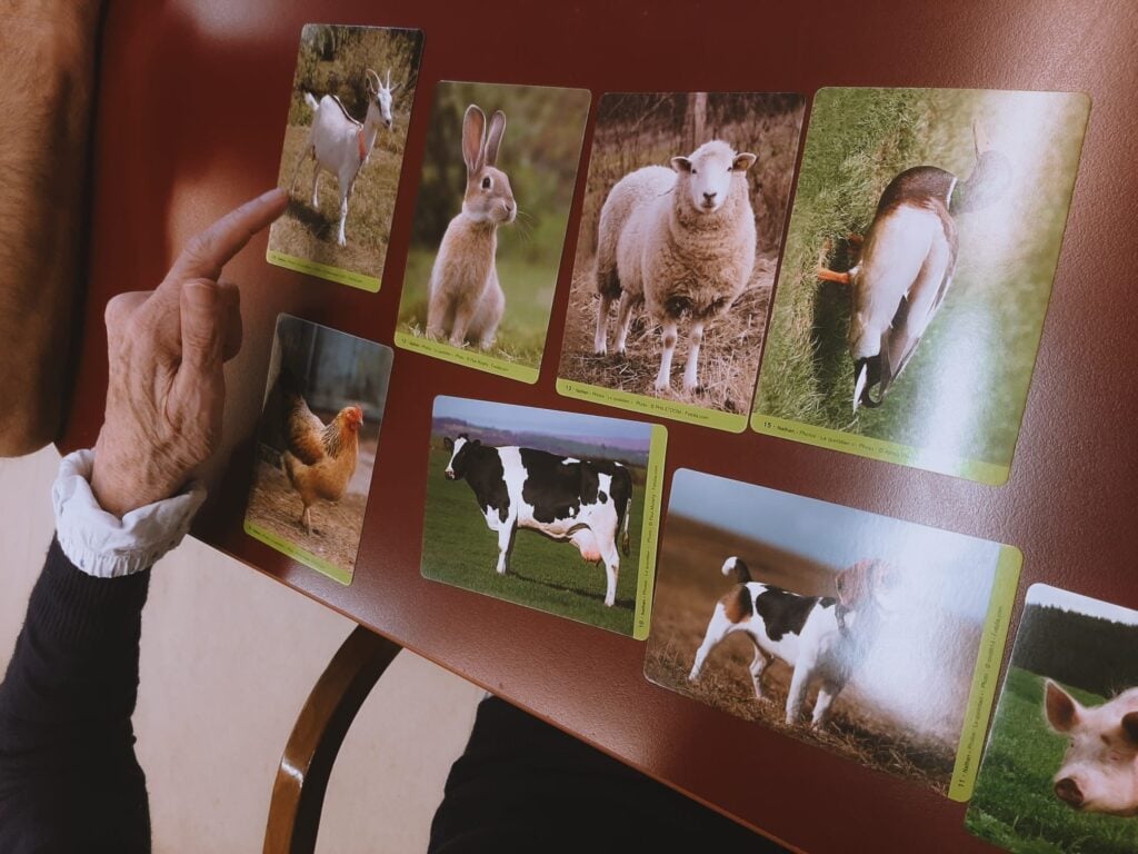 esercizi per allenare la memoria degli anziani con le flashcard 1