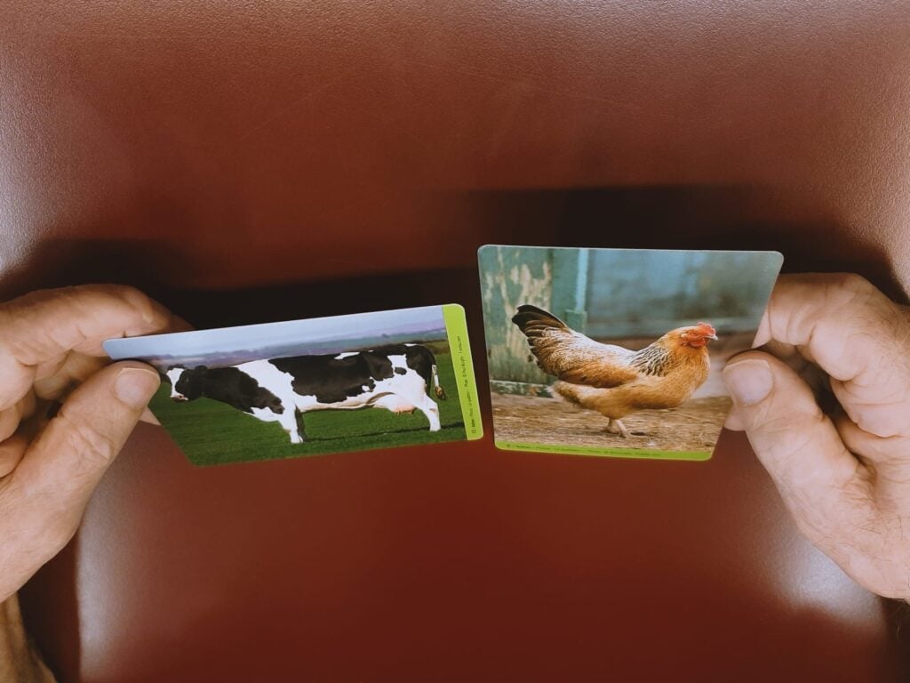 esercizi per allenare la memoria degli anziani con le flashcard 3