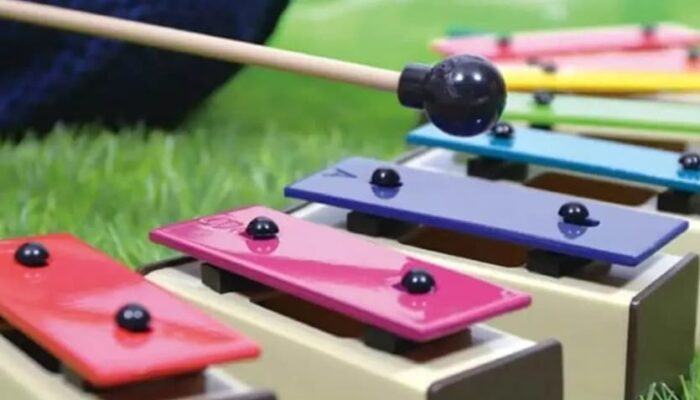 Carta del Docente e strumenti musicali: 7 kit essenziali per la didattica e il laboratorio sonoro