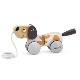 Puppy trainabile
