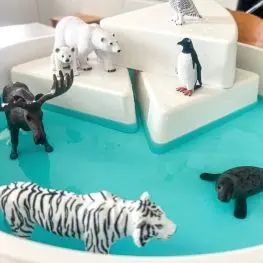 Animali dei paesi freddi - 7 pezzi