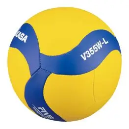 Pallone volley scuola