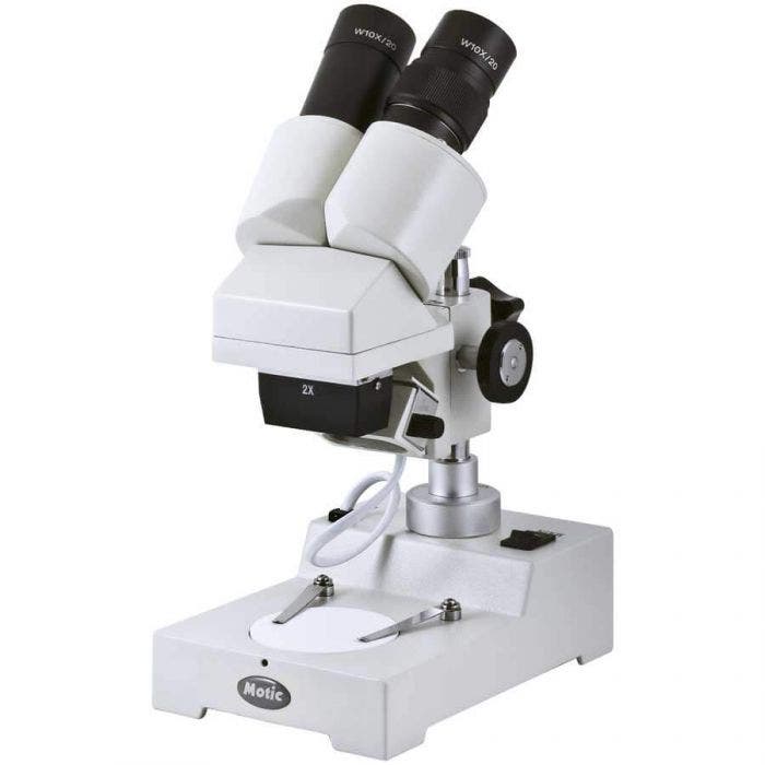 Microscopio stereoscopico binoculare con illuminazione