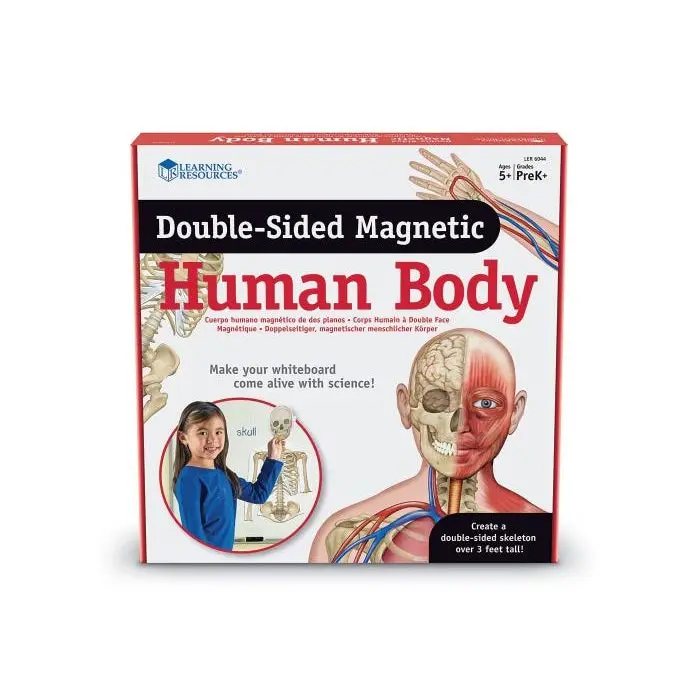 Schema corporeo con organi - human body